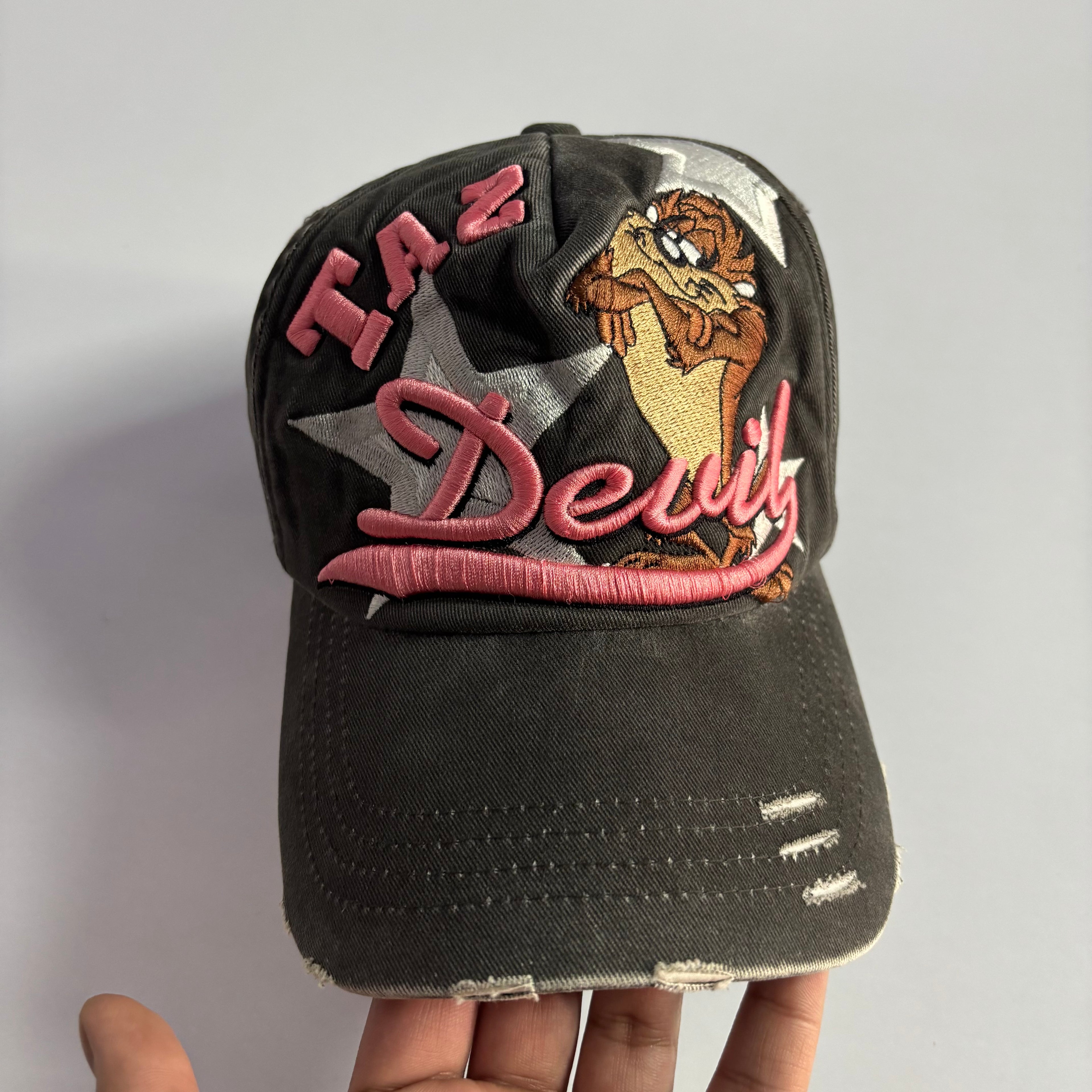 Vtg. Tasmanian Devil Looney Tunes Snapback