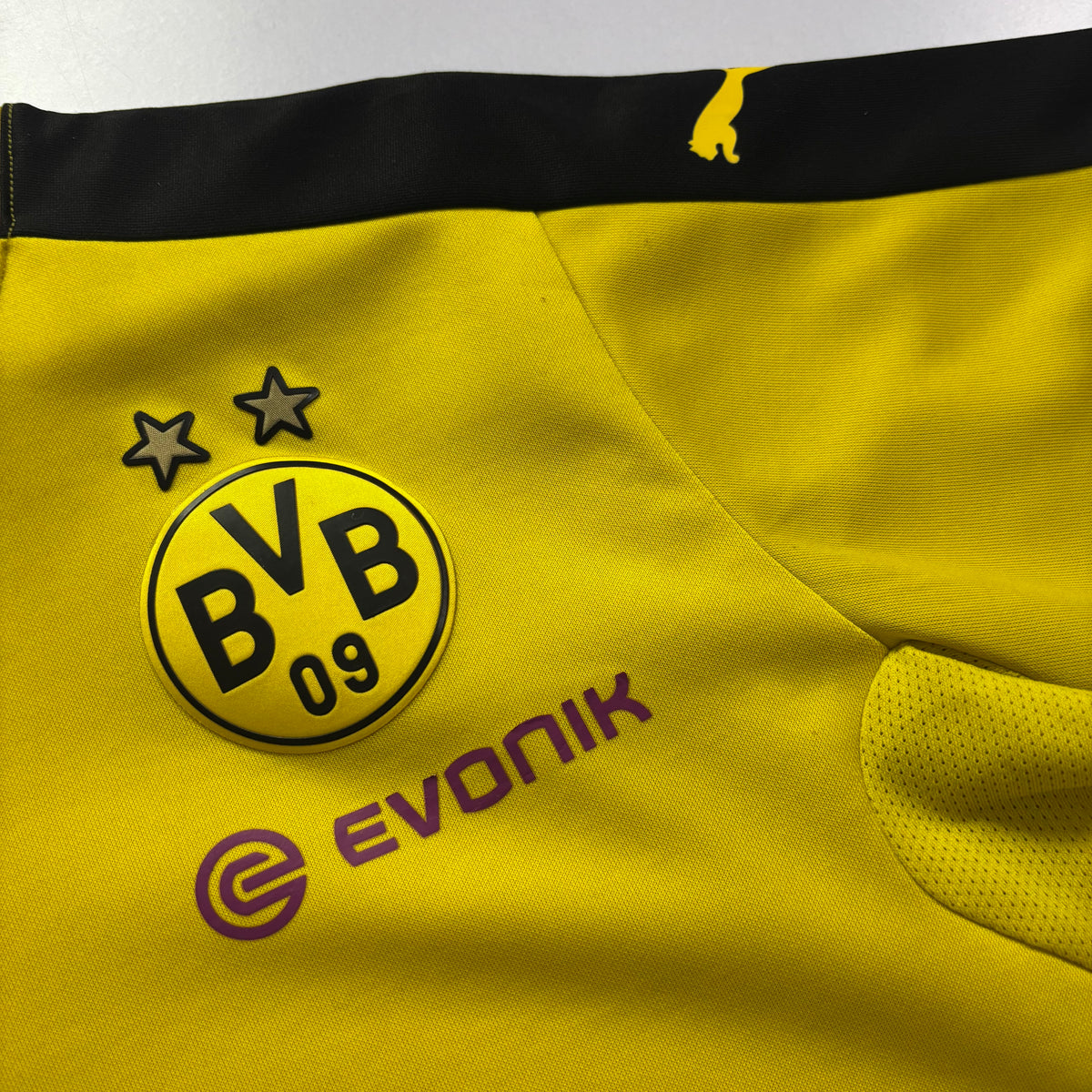 Dortmund 2015 Training Shirt