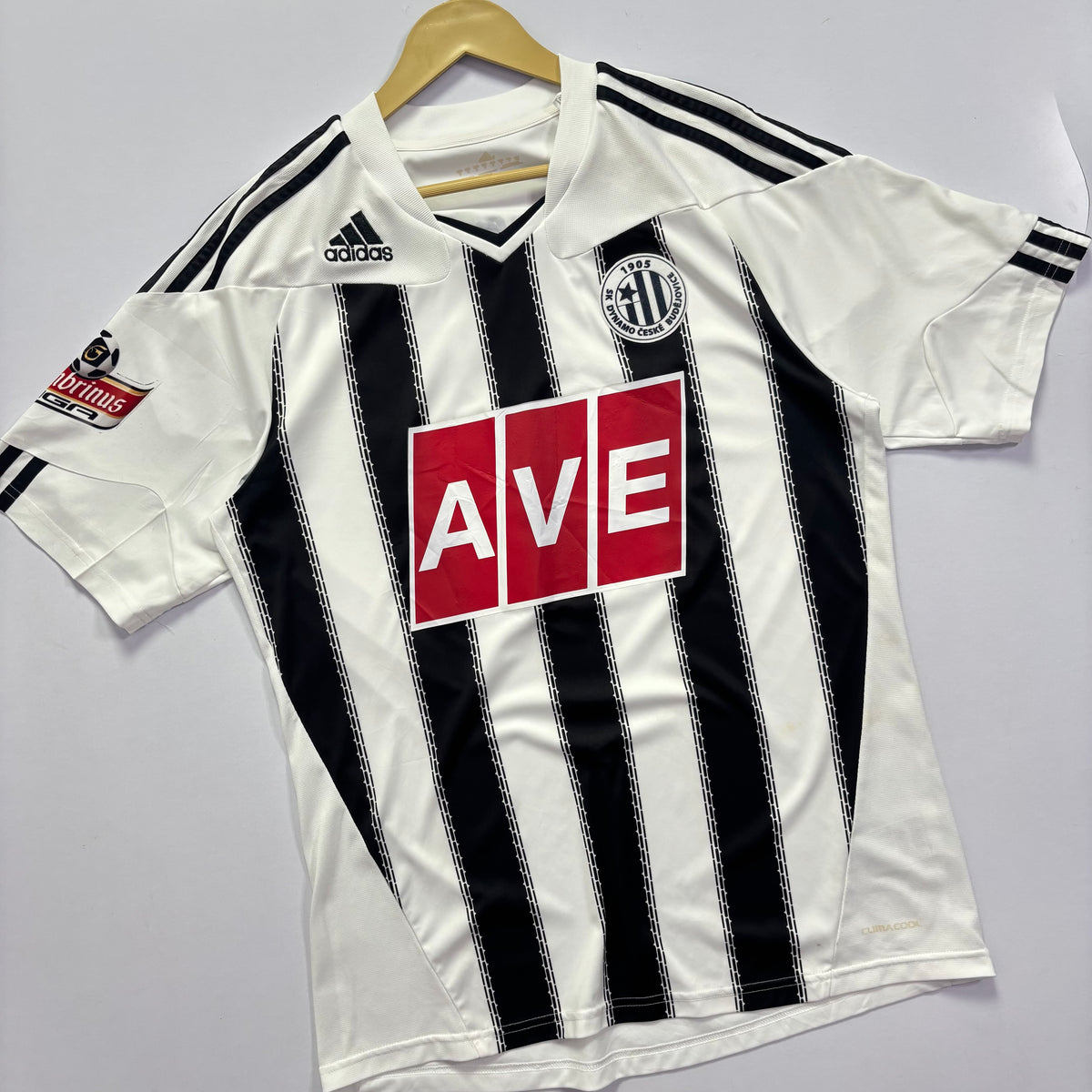 SK Dynamo 2011 Home