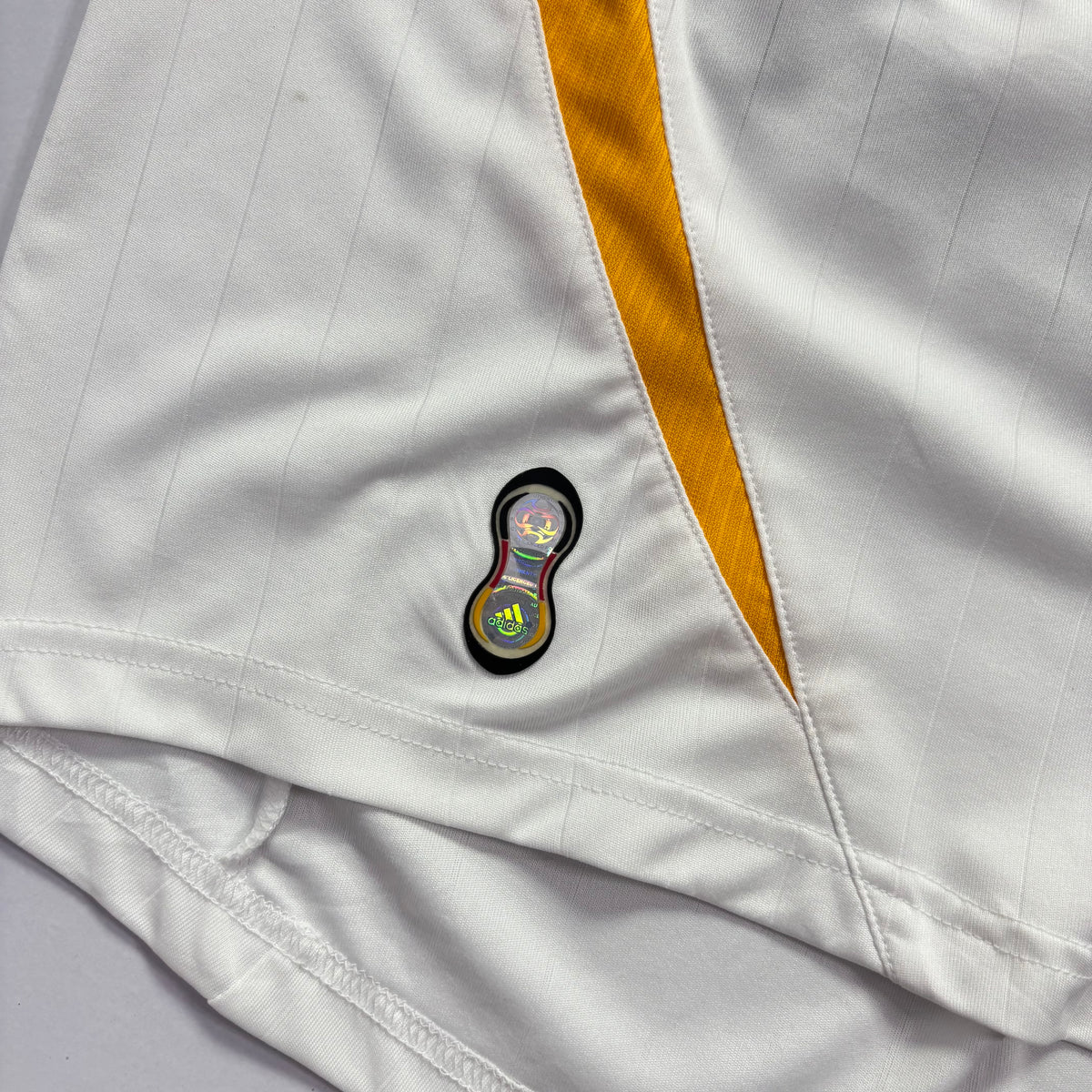 Germany 2006 Home