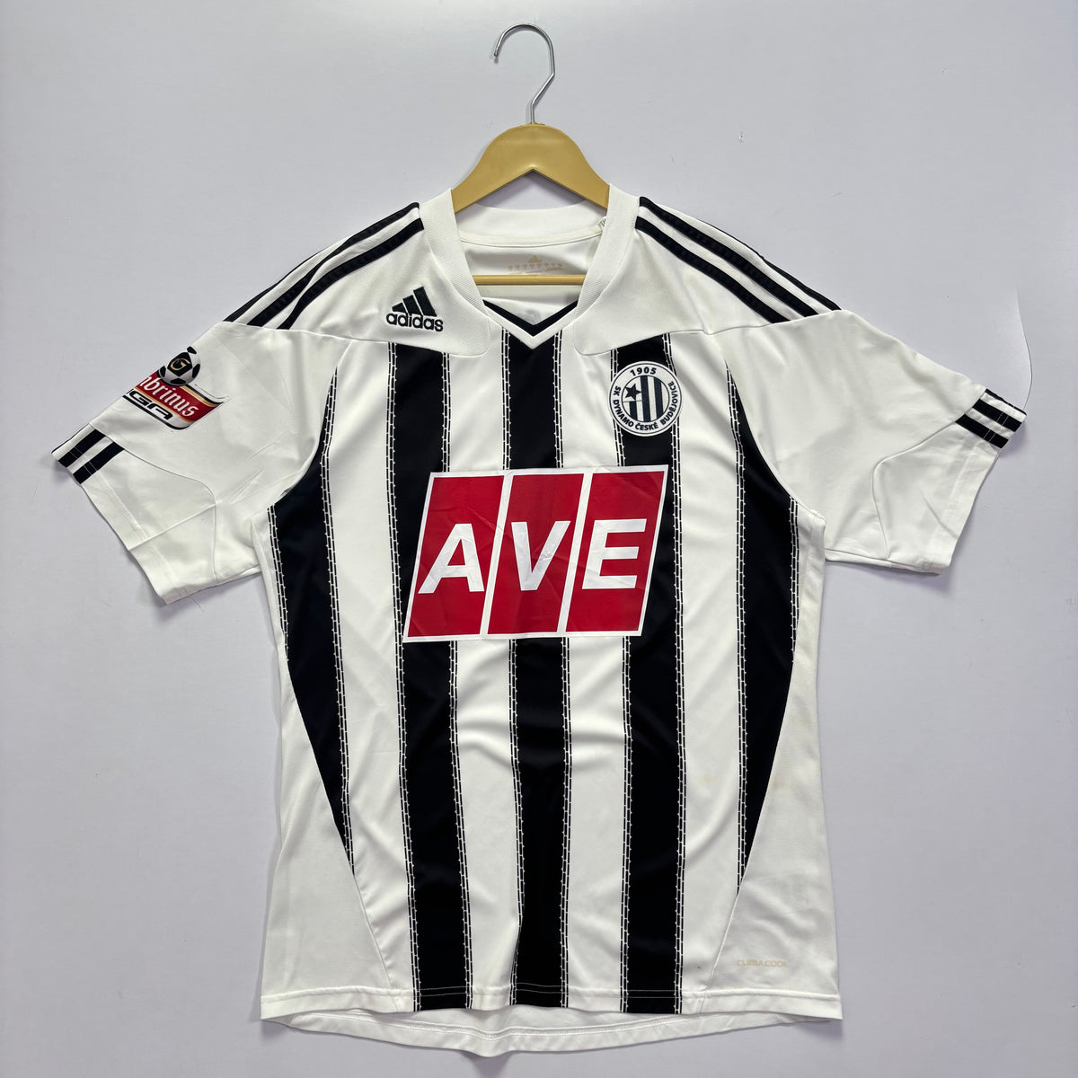SK Dynamo 2011 Home