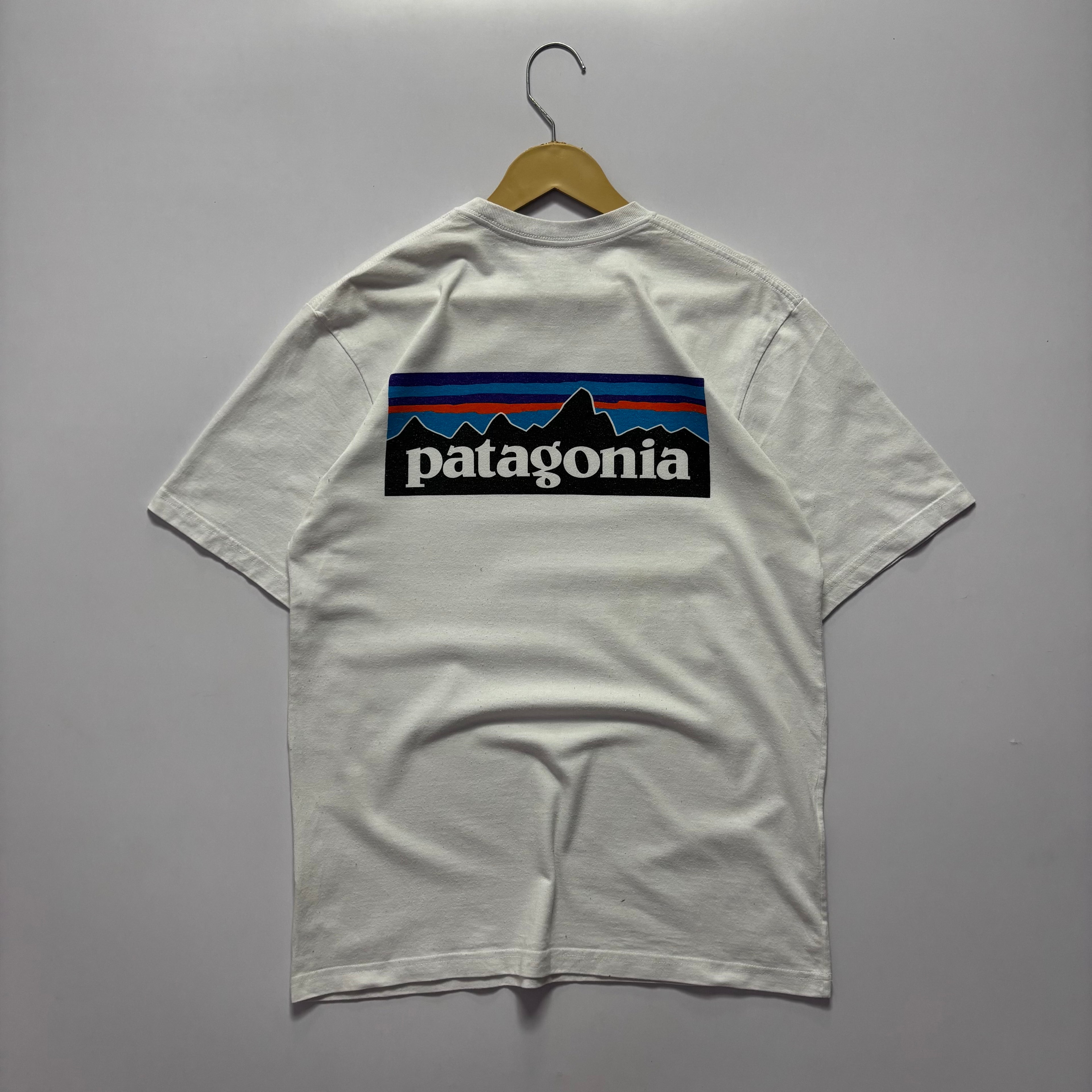 Patagonia Tshirt