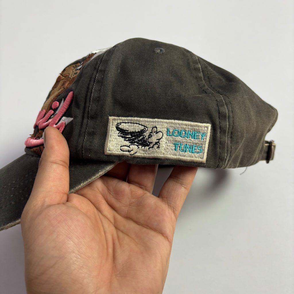 Vtg. Tasmanian Devil Looney Tunes Snapback