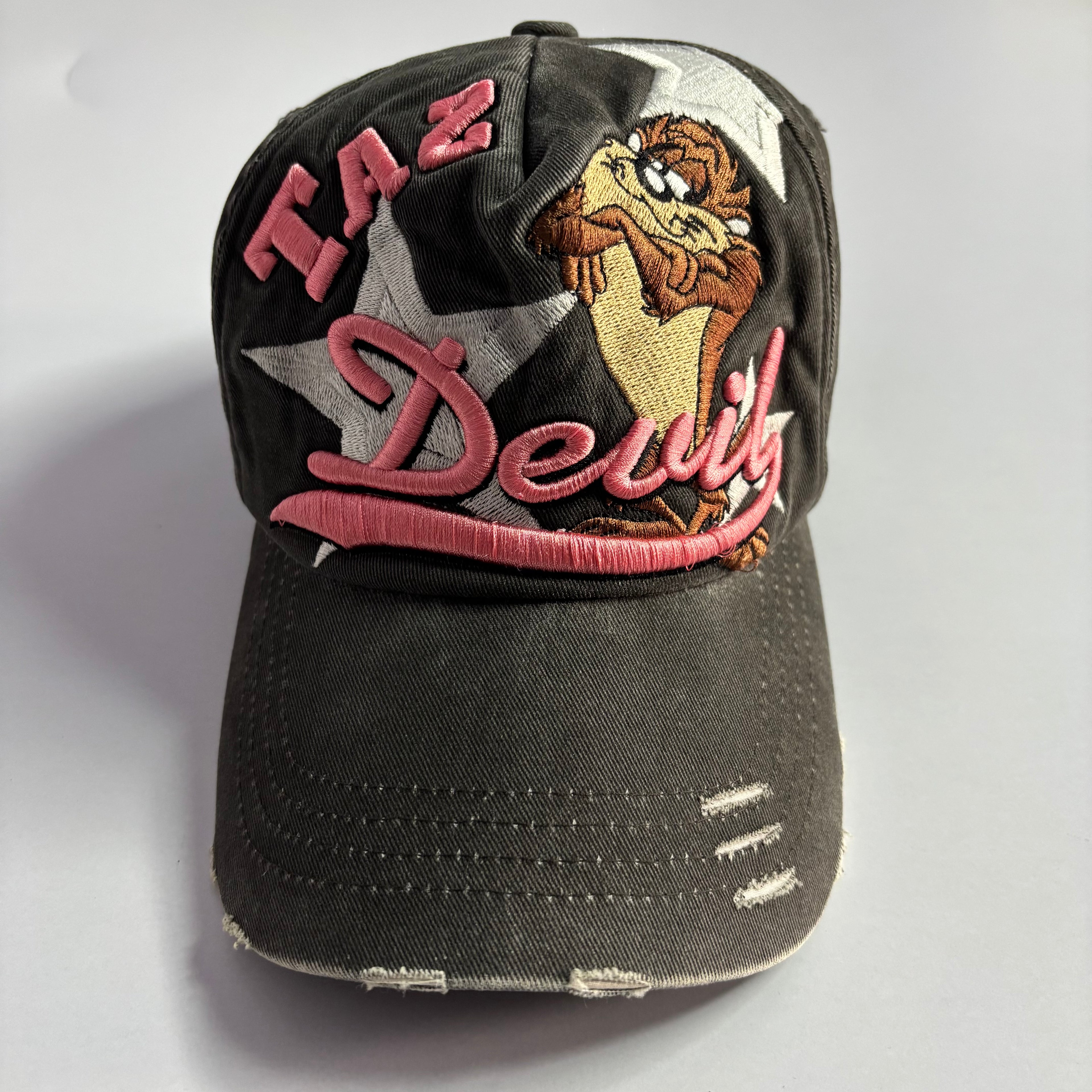 Vtg. Tasmanian Devil Looney Tunes Snapback