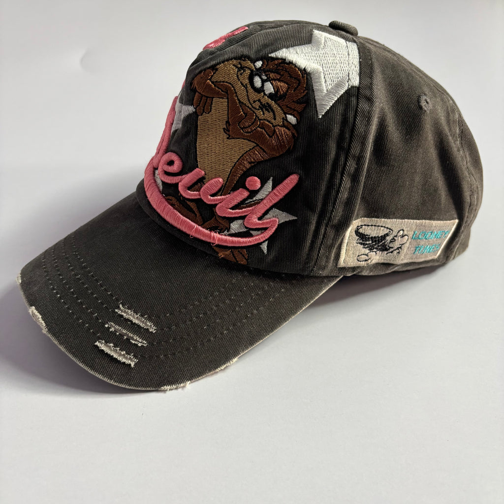 Vtg. Tasmanian Devil Looney Tunes Snapback